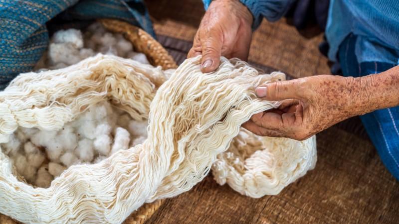 “Si realmente queremos que el algodón peruano compita a nivel global, necesitamos levantar la moratoria a los transgénicos”