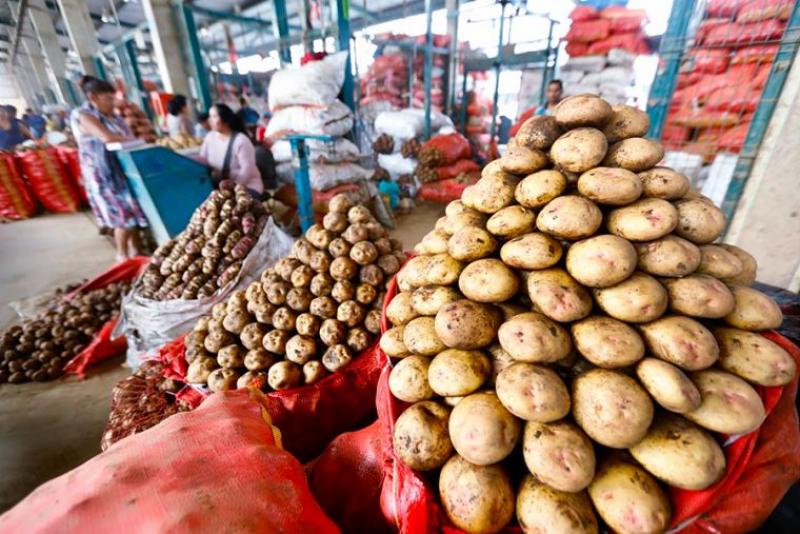 Stocks de alimentos se encuentran en niveles óptimos en la mayoría de productos