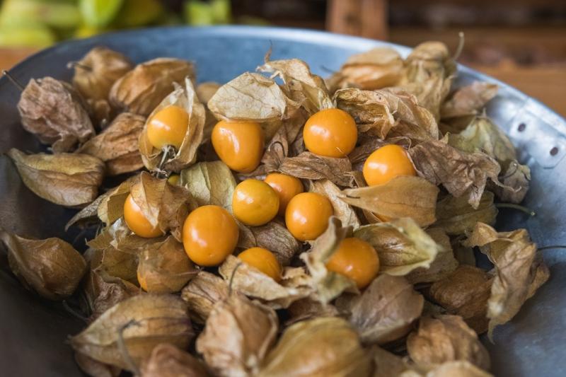 Superalimentos peruanos presentes en primera rueda de negocios con Centroamérica