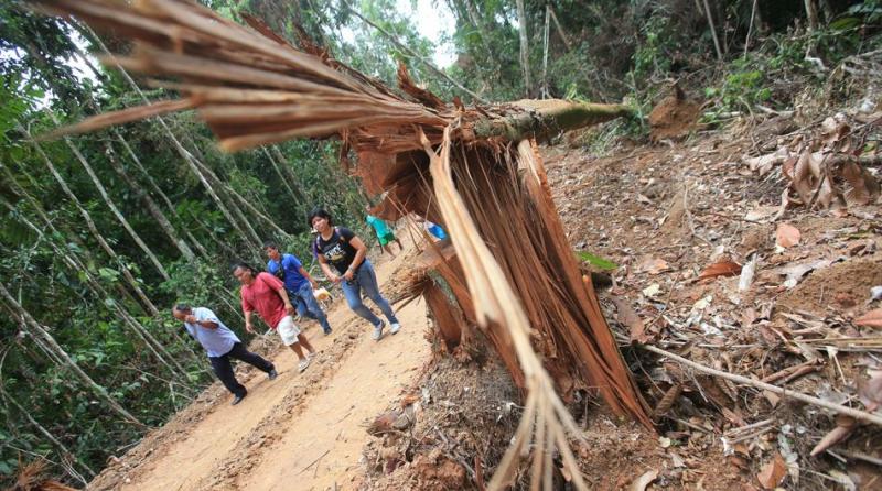 SUSPENDEN EMPRESA TALADORA EN UCAYALI 