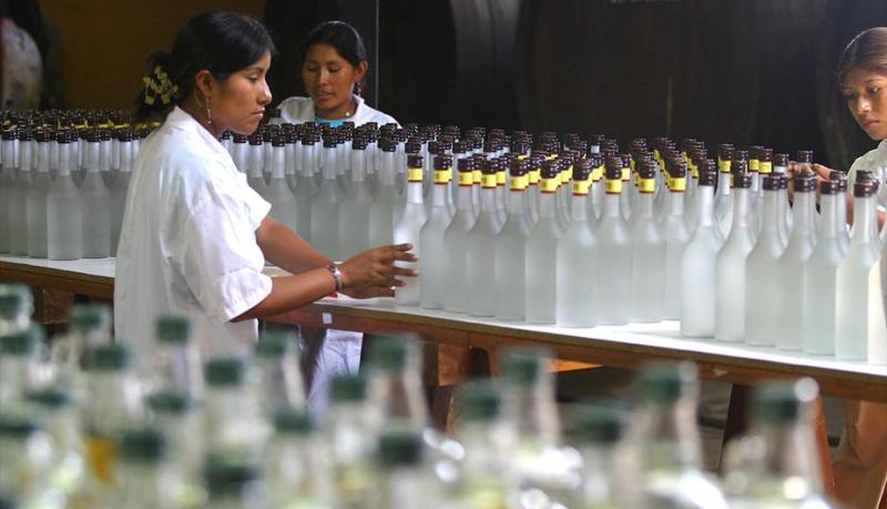 Tabernero ingresará con su pisco a Paraguay en abril