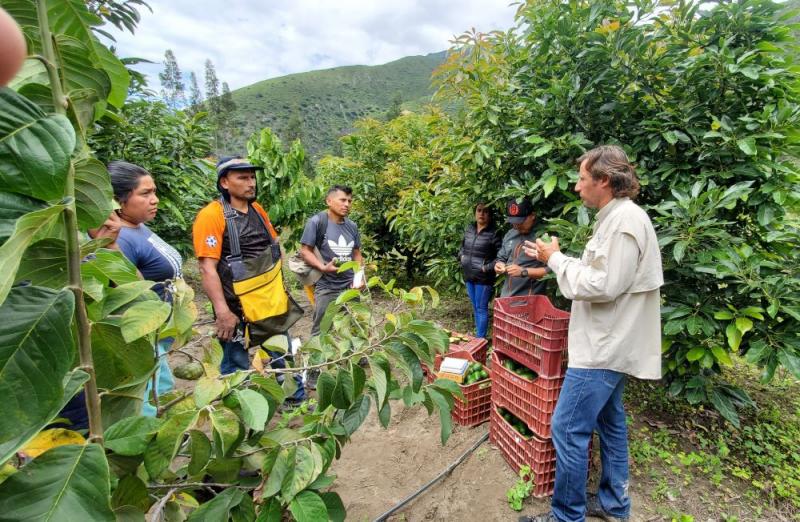 Talsa Agroexport: certificar campos es vital para los agricultores