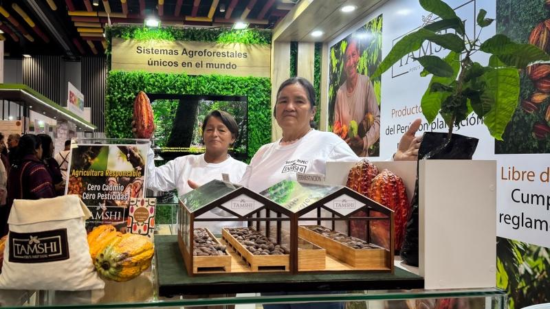 TAMSHI lució la calidad del cacao de Loreto y destacó su carácter libre de cadmio y pesticidas