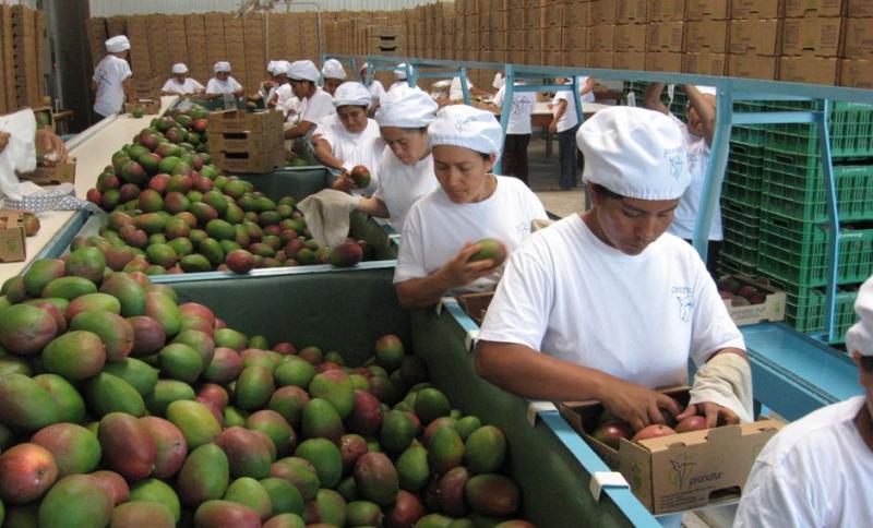 Todavía no tiene luz verde la prórroga de la Ley de Promoción Agraria