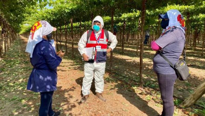 Trabajadores productivos son los menos beneficiados con nueva ley agraria