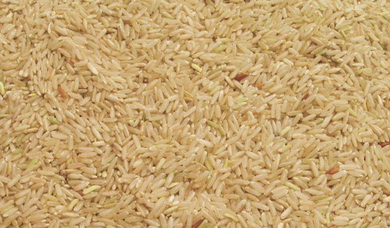 TUMBES PRODUCIRÍA 65.600 TONELADAS DE ARROZ CÁSCARA EN LA CAMPAÑA CHICA