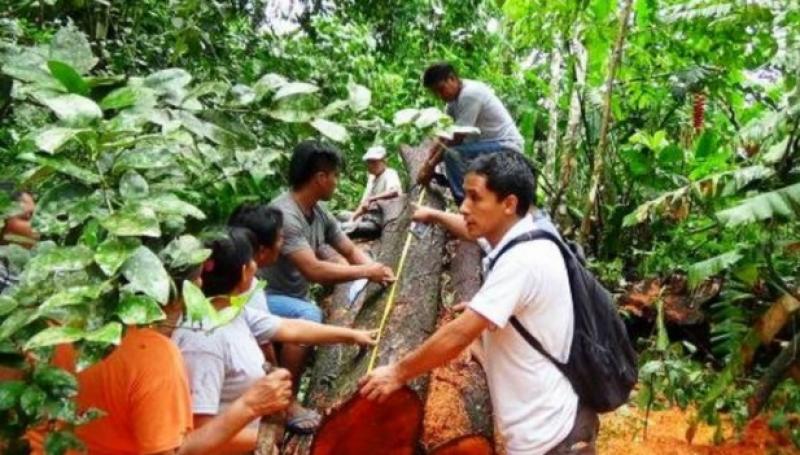 UCAYALI: OSINFOR CAPACITA A COMUNIDADES INDÍGENAS SOBRE RECURSOS FORESTALES