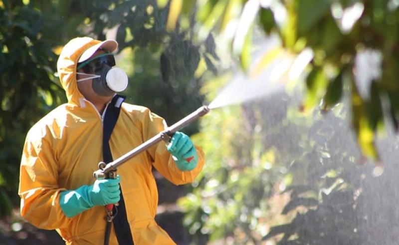 Un tercio de la producción agrícola mundial se pierde al año por malezas, plagas y enfermedades