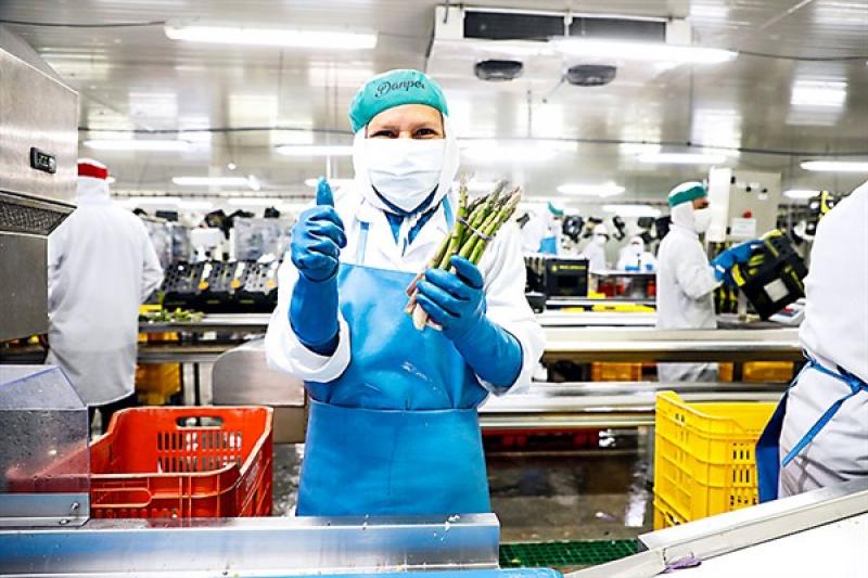 Un total de 1,865 empresas exportaron productos agropecuarios en el primer cuatrimestre de 2022