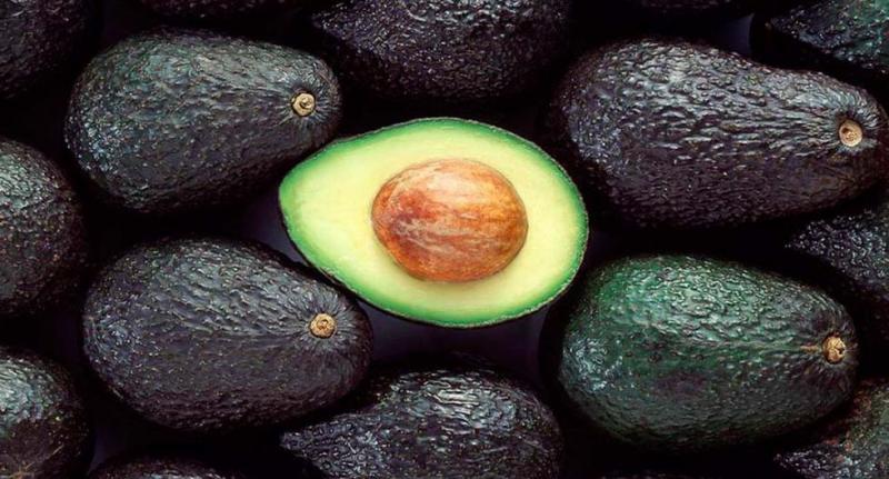 UNALM y ProHass firmarán convenio de cooperación en investigación e innovación en palta Hass