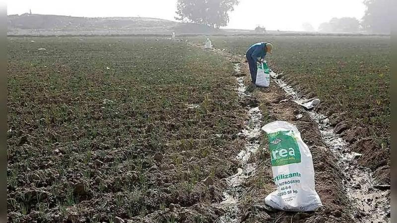 Urea se desploma hasta US$300 por tonelada tras récord histórico de abril