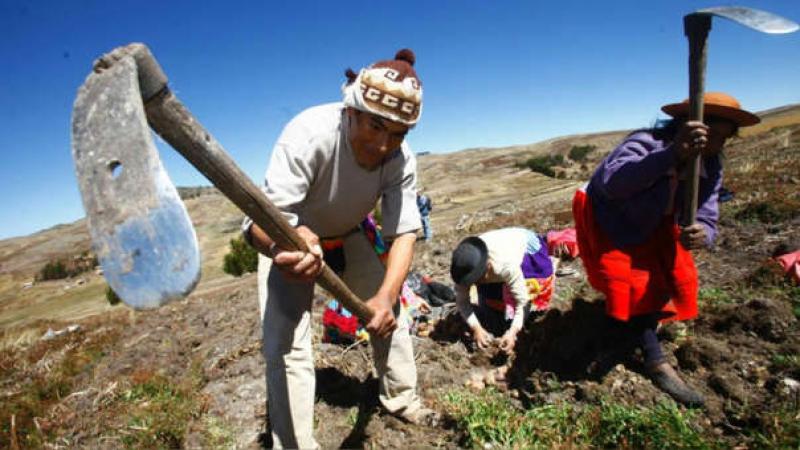 Urge promover el agro