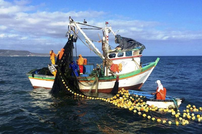 Urgen acciones coordinadas para el uso sostenible de los recursos marítimos