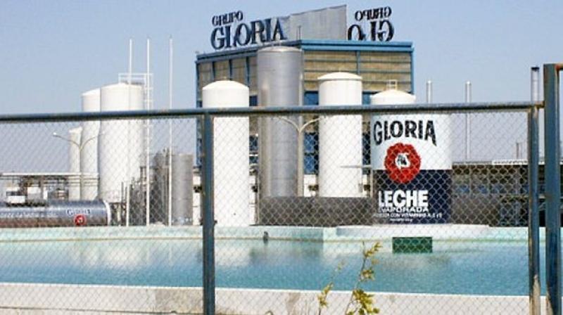 UTILIDAD NETA DE GLORIA ASCENDIÓ A S/. 214 MILLONES EL 2015
