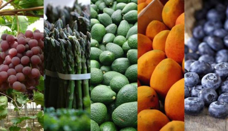 Uva, palta, arándanos y mangos lideraron exportaciones de frutas el 2018