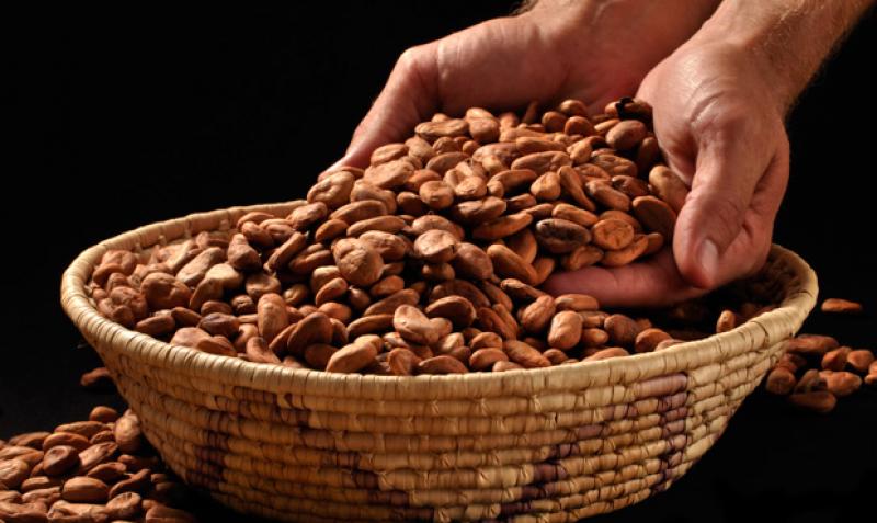 Validan visión para el cacao y chocolate peruano al 2030