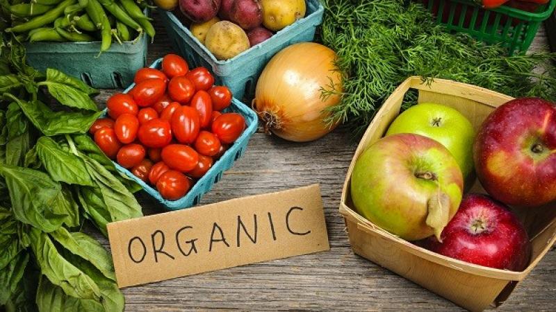 Ventas de productos orgánicos en Estados Unidos alcanzaron los US$ 9.5 billones  en 2024