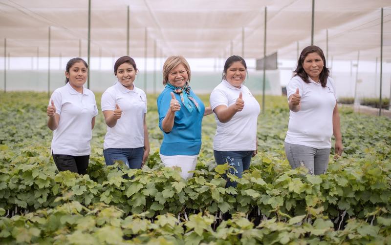 Vivero Los Viñedos organiza conferencia virtual “Desafíos productivos y comerciales de la uva de mesa de exportación”