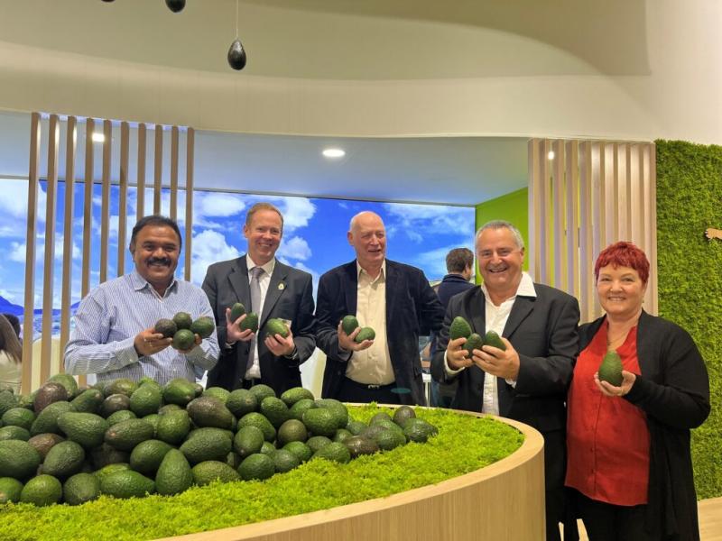 Westfalia expande sus operaciones de aguacate a la India