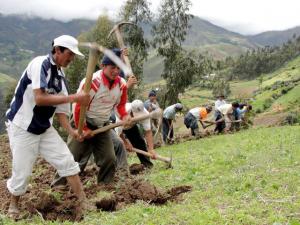 “CAMBIO EN RÉGIMEN LABORAL AGRARIO VULNERA PRINCIPIO DE SEGURIDAD JURÍDICA”