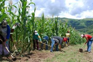 “CENSO AGRARIO ES URGENTE Y OBLIGATORIO”