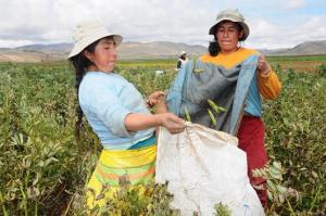 “INVERTIR EN AGRICULTURA ES RENTABLE  ADEMÁS REDUCE HAMBRE Y POBREZA”