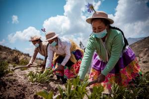 11.165 productores agropecuarios accedieron a Planes de Negocio y Proyectos de Reconversión Productiva de Agroideas