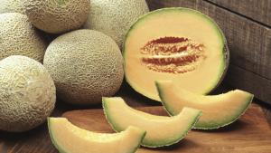 2017 marca un importante repunte en la exportación de melones frescos