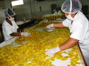 28 EMPRESAS PARTICIPAN EN PROGRAMA GLOBUS