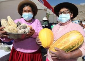 41.000 adultos mayores en extrema pobreza participan en Saberes Productivos