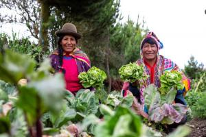 A la fecha el sector Agrario y Riego solo ha ejecutado el 38.7% de su presupuesto anual