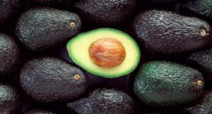 Actualidad y desafíos de la palta peruana