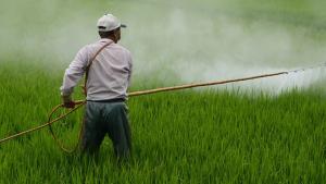 AGAP: Perú no utiliza agroquímicos prohibidos por Francia en sus agroexportaciones a Europa