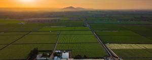 Agrícola Don Ricardo recibe el certificado azul por su compromiso con la sostenibilidad hídrica