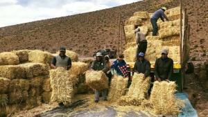 Agro Rural culminó con la entrega equipos, insumos y materiales para mitigar el impacto de déficit hídrico en 9 regiones altoandinas del país