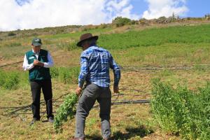 Agro rural destinó más de s/ 600 millones a favor del agro en 2023