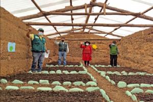 Agro Rural invierte más de S/ 80 millones para enfrentar las bajas temperaturas en las zonas altoandinas del país