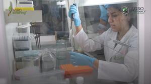 AgroAdvance Perú inaugura su primer laboratorio de diagnóstico fitopatológico con tecnología molecular en Perú