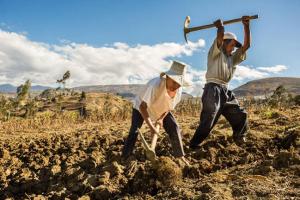 Agrobanco con tecnología mejorará procesos y llegará a más clientes