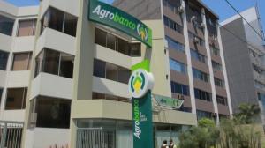 “Agrobanco está recuperando de 20 a 30 millones de soles mensuales de deuda”