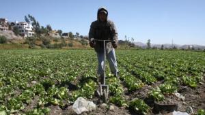 AGROBANCO INCREMENTA RECURSOS PARA REGIONES SIERRA Y SELVA