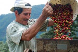 AGROBANCO PROYECTA CERRAR ESTE AÑO CON 50 MIL CLIENTES
