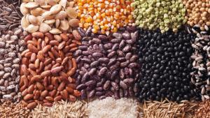 Agrobiodiversidad y protección de semillas son esenciales para garantizar la alimentación