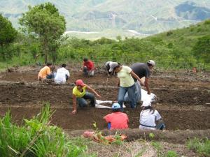 AGROEXPORTACIONES NO TRADICIONALES CAYERON 14%