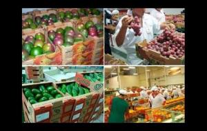 AGROEXPORTACIONES SUMARON MÁS DE US$ 3.614 MILLONES ENTRE ENERO-SETIEMBRE