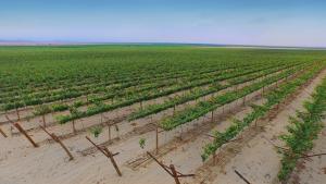 Agroexportadores invertirían US$ 20.000 millones en primeros cinco años de actividades de nuevos   proyectos de irrigación
