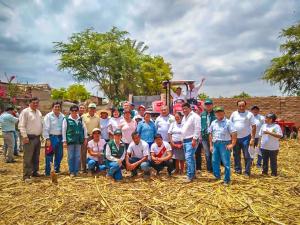 Agroideas apuesta por cultivo de frijol caupí en Lambayeque