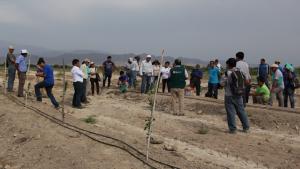 Agroideas capacita a agricultores de Ica en manejo de sistema de riego