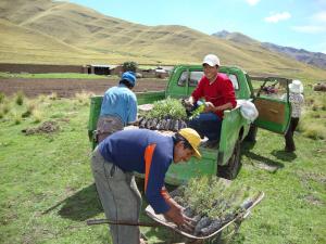 AGROIDEAS COMPROMETIÓ MÁS DE S/. 30 MILLONES EN 90 PLANES DE NEGOCIOS 