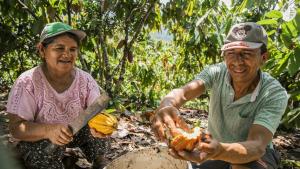 Agroideas ejecutó el 98.2% de su presupuesto en 2022